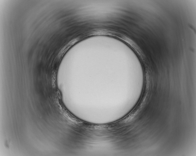 X0000099580857200806131316