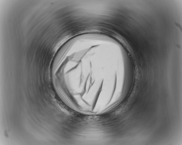 X0000099580858200806131316