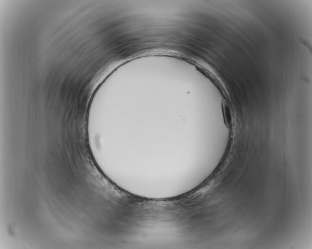 X0000099580860200806131316