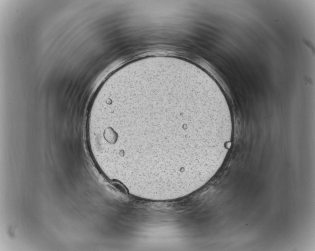 X0000099580861200806131316