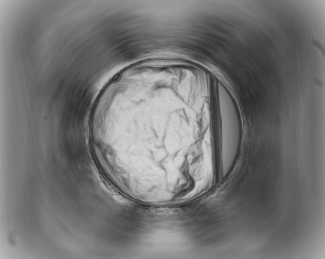 X0000099580862200806131316