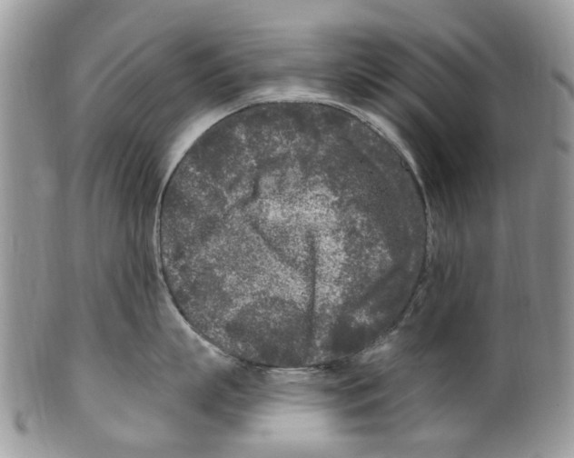 X0000099580863200806131316