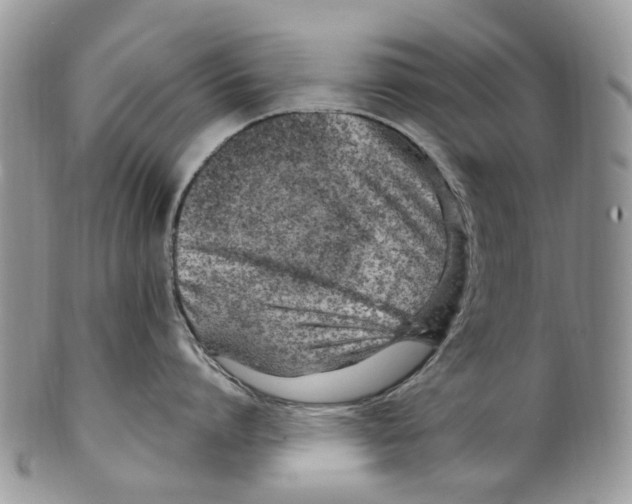 X0000099580864200806131317