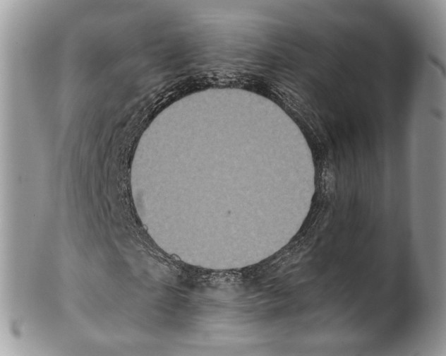 X0000099580865200806131316