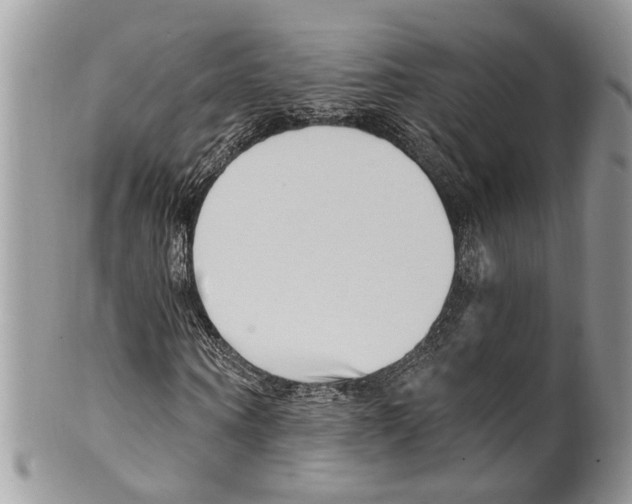 X0000099580866200806131316