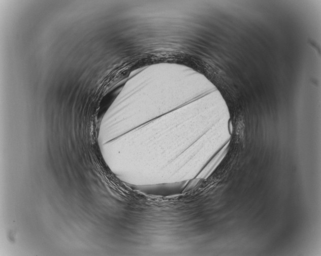 X0000099580868200806131316