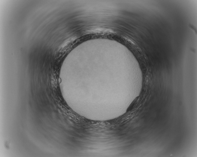 X0000099580869200806131316