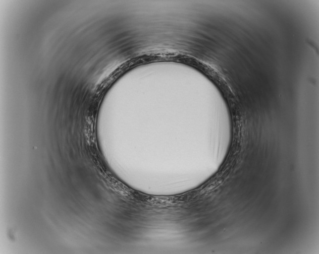 X0000099580871200806131316