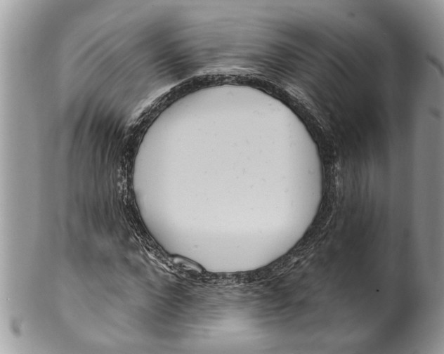 X0000099580872200806131316