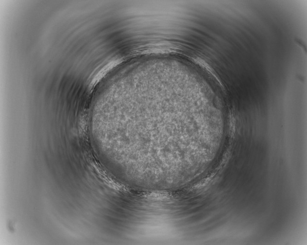 X0000099580874200806131316