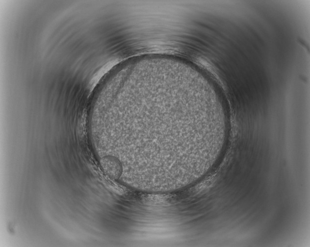 X0000099580875200806131316