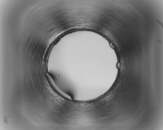 X0000099580876200806131316