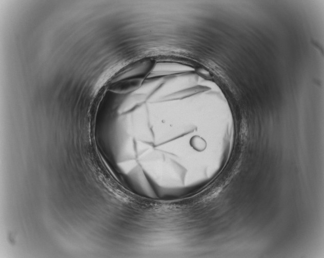 X0000099580877200806131316