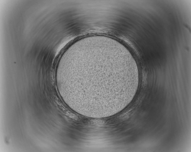 X0000099580878200806131315