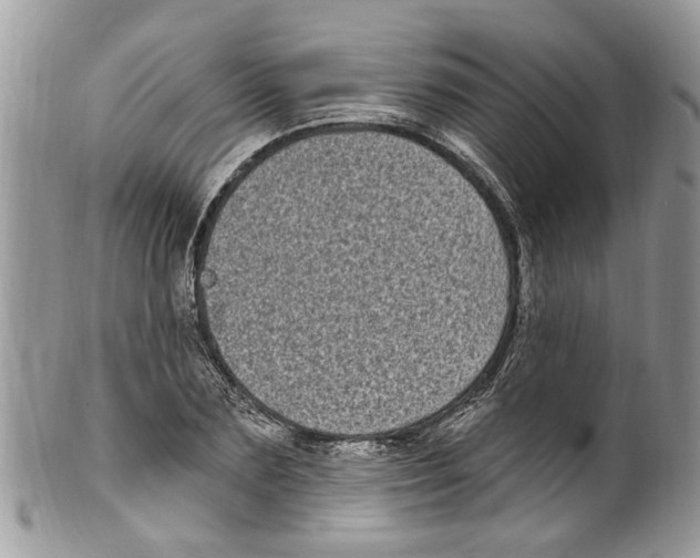 X0000099580883200806131315