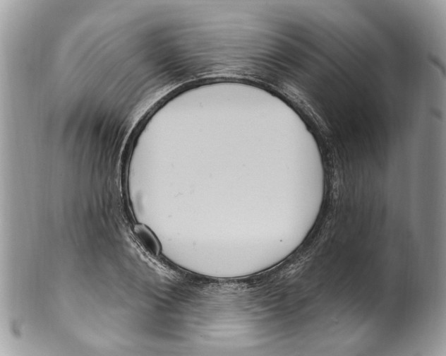 X0000099580884200806131315