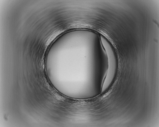 X0000099580885200806131315