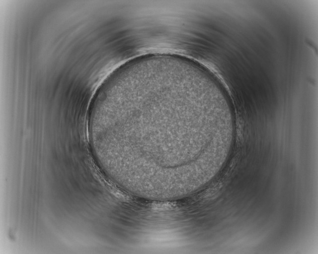 X0000099580887200806131315