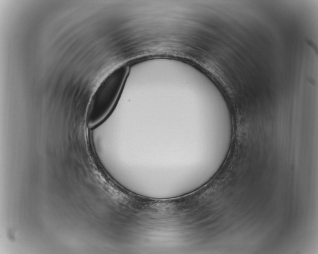 X0000099580888200806131315