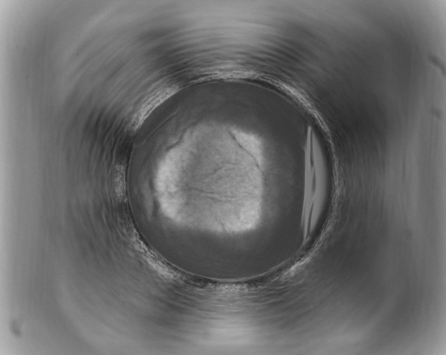 X0000099580889200806131315