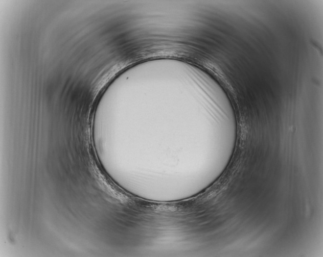 X0000099580890200806131315