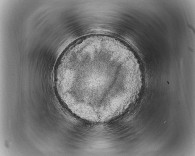 X0000099580891200806131315