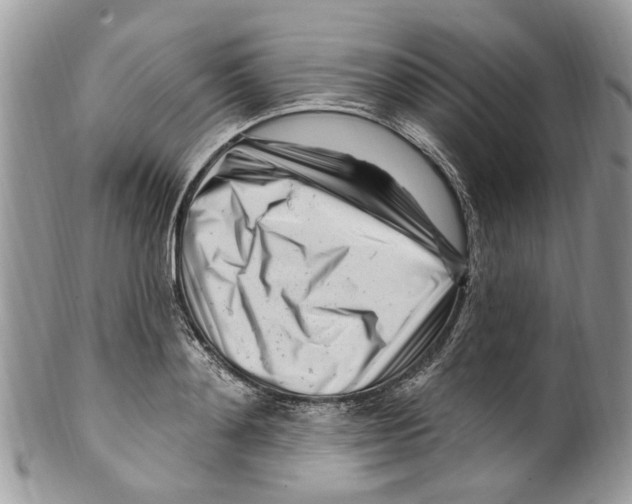 X0000099580892200806131315