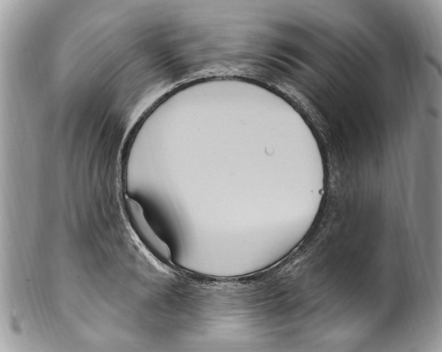 X0000099580894200806131315