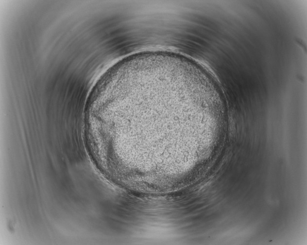 X0000099580895200806131315