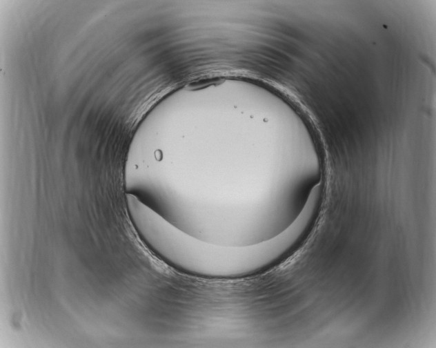 X0000099580897200806131315