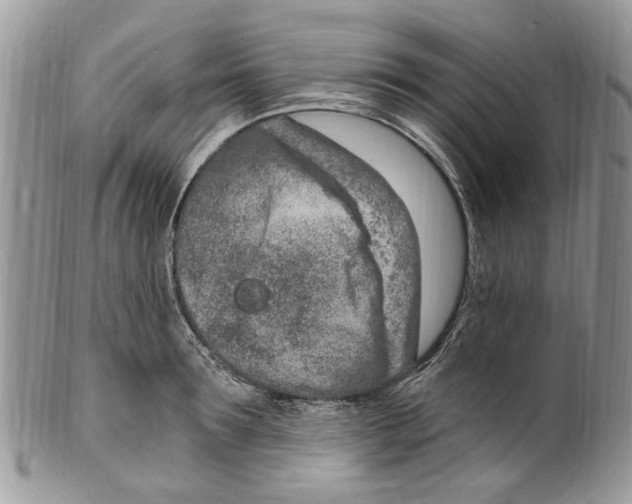 X0000099580899200806131315