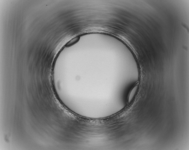 X0000099580901200806131315