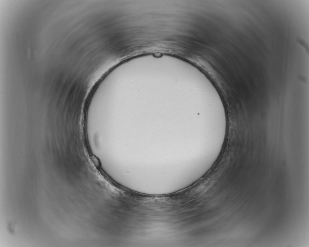 X0000099580902200806131315