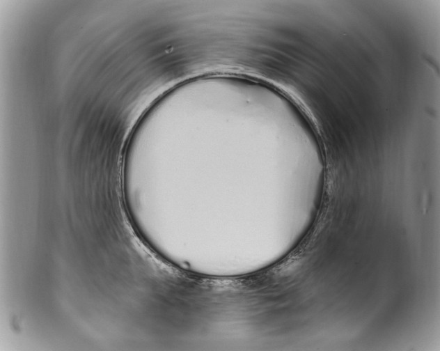 X0000099580903200806131315