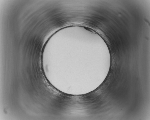 X0000099580904200806131315