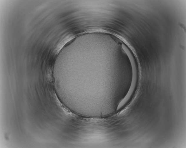 X0000099580905200806131315