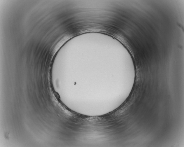 X0000099580906200806131315