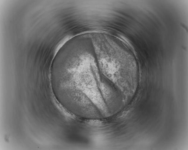 X0000099580907200806131315