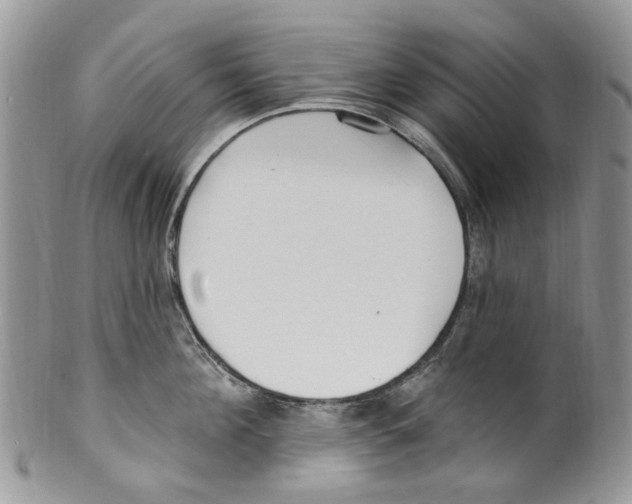 X0000099580908200806131315