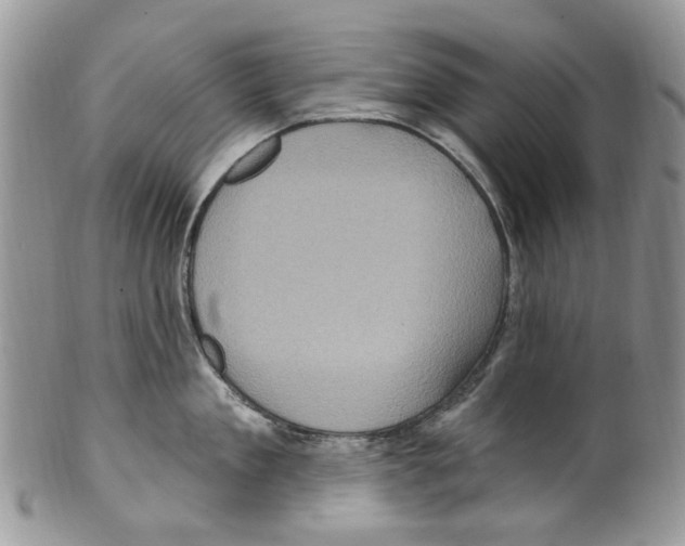 X0000099580909200806131315