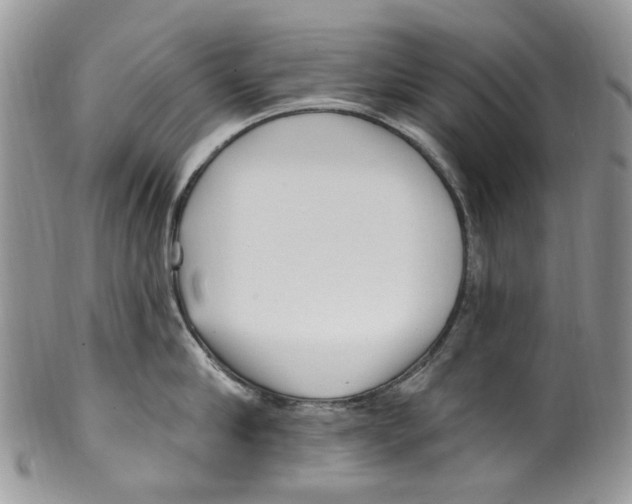 X0000099580910200806131315