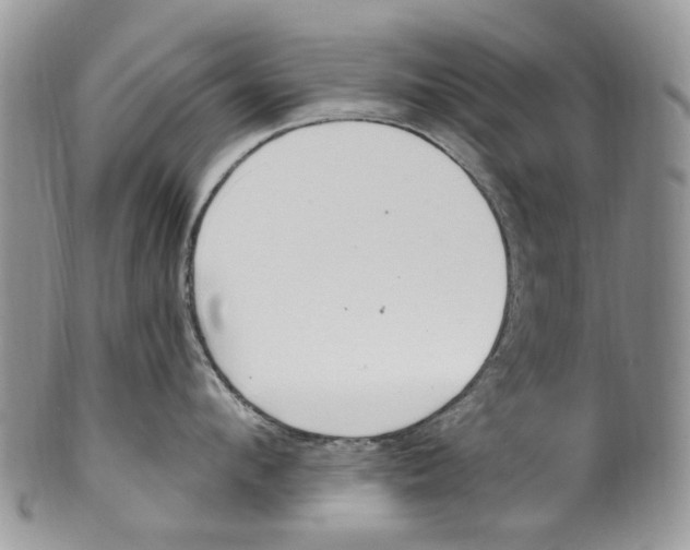 X0000099580912200806131315