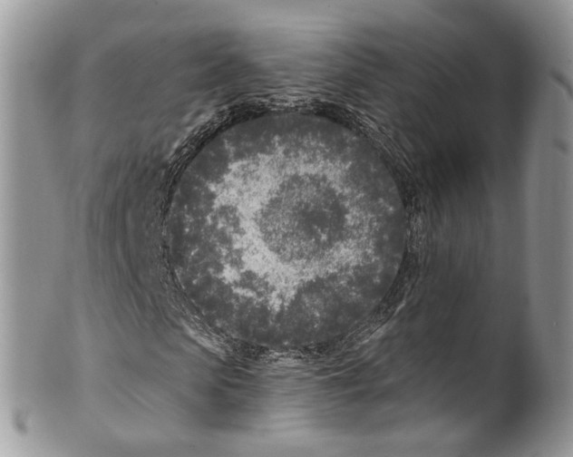 X0000099580913200806131314