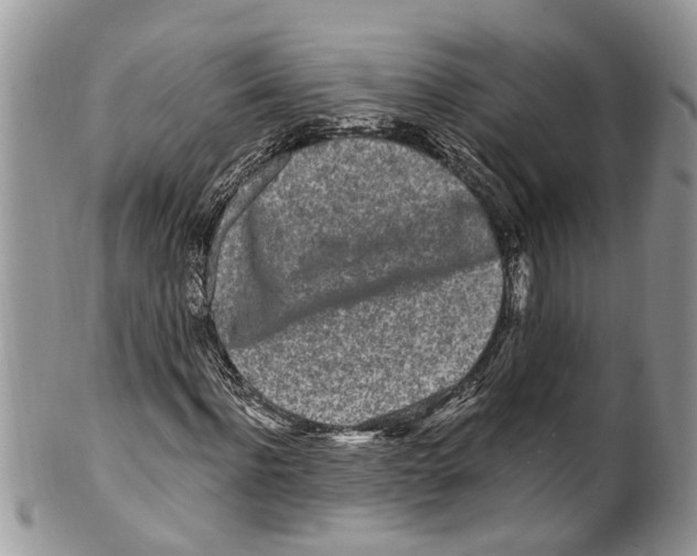 X0000099580916200806131314