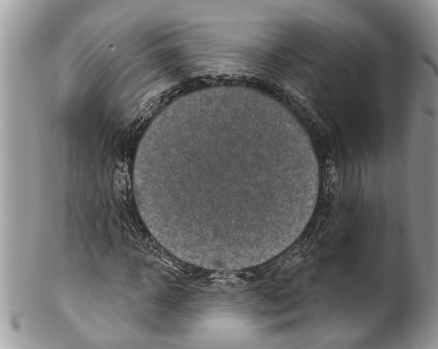 X0000099580918200806131314