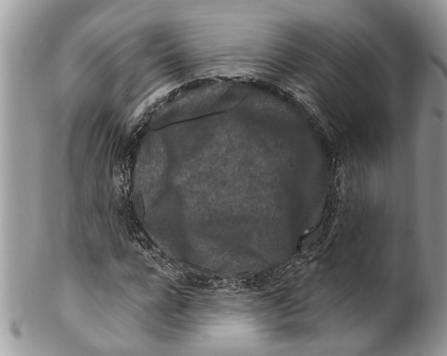 X0000099580920200806131314