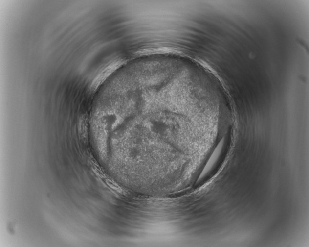 X0000099580921200806131314