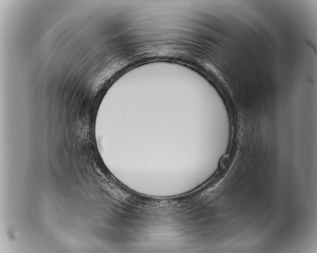 X0000099580922200806131314