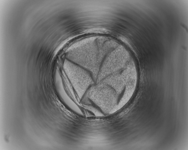 X0000099580923200806131314