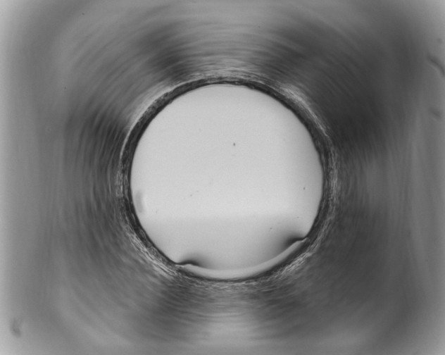 X0000099580924200806131315